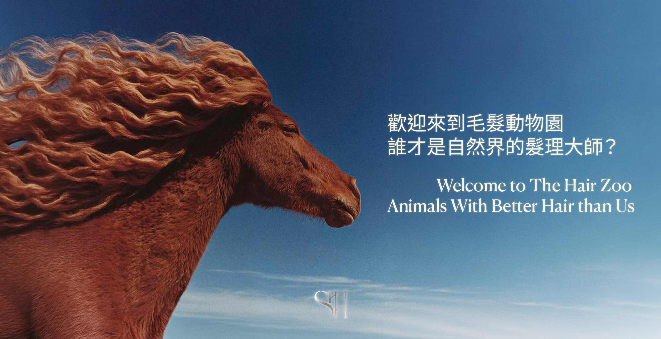 歡迎來到毛髮動物園！誰才是自然界的髮理大師？   Welcome to The Hair Zoo: Who Are Nature’s True Hair Masters?